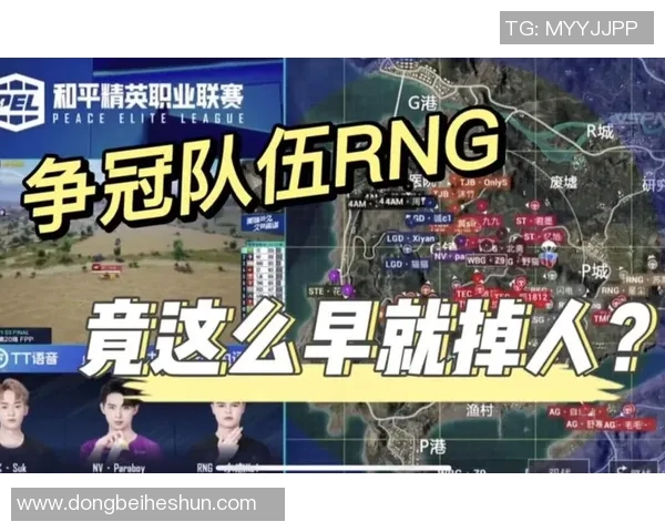 最新和平精英节奏排行榜揭晓RNG战队稳居第一名引发热议